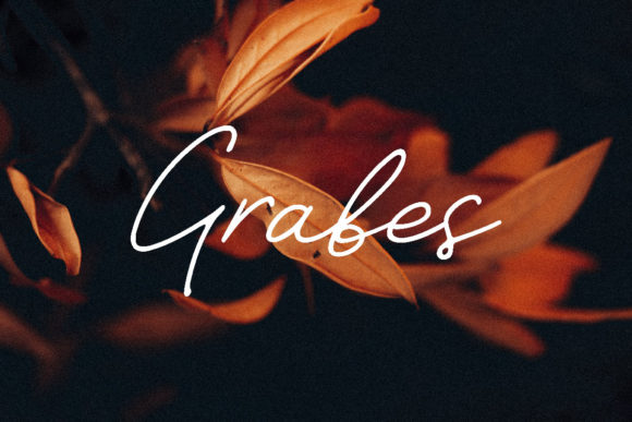 Discover the Elegance of Grabes: A Delicate Script Typeface