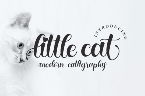 Little Cat: A Delicate Handwritten Font for Branding
