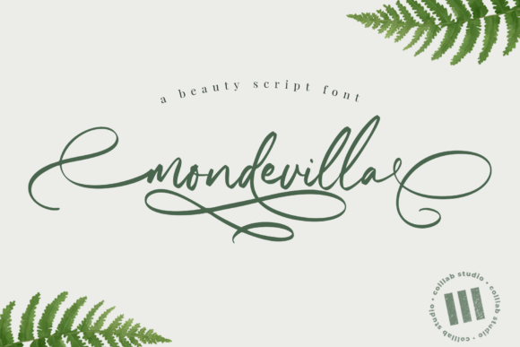 Mondevilla: A Script Font with Elegance and Charm