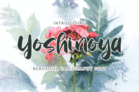 Yoshinoya: A Font for Elegant and Bold Editorial Design